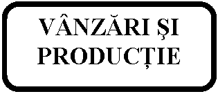 Rounded Rectangle: VNZĂRI sI PRODUCŢIE